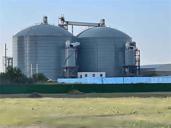 清远钢板仓建造施工方案详解